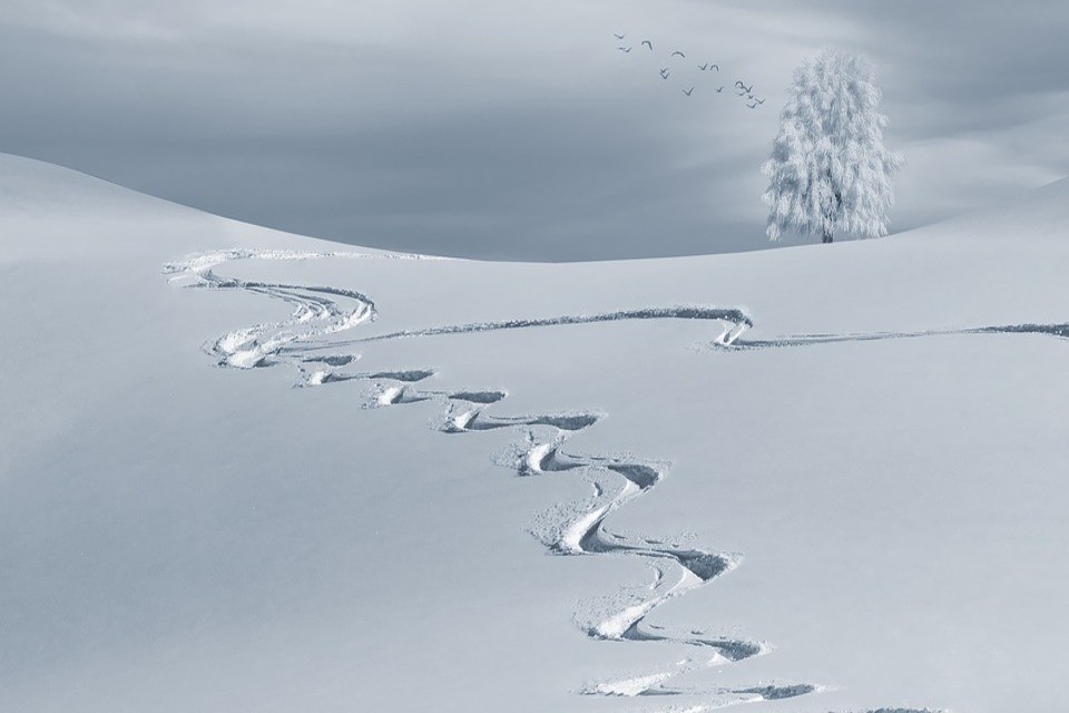 Ski lines in snow
