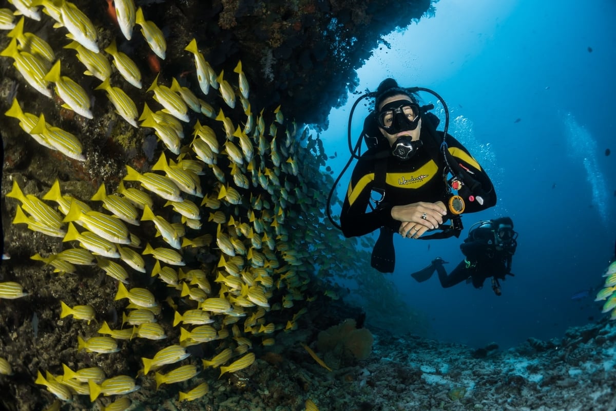 Scuba diver underwater with a school of fish